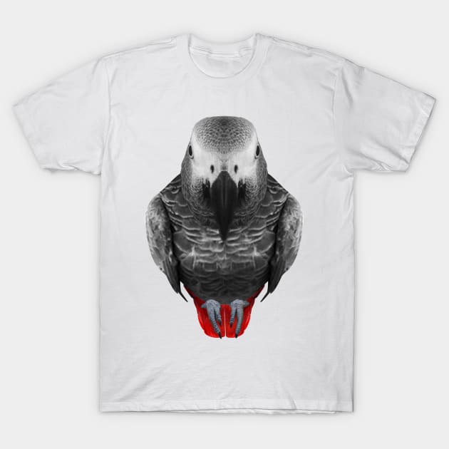 african grey parrot gear T-Shirt by African Grey Parrot Gear